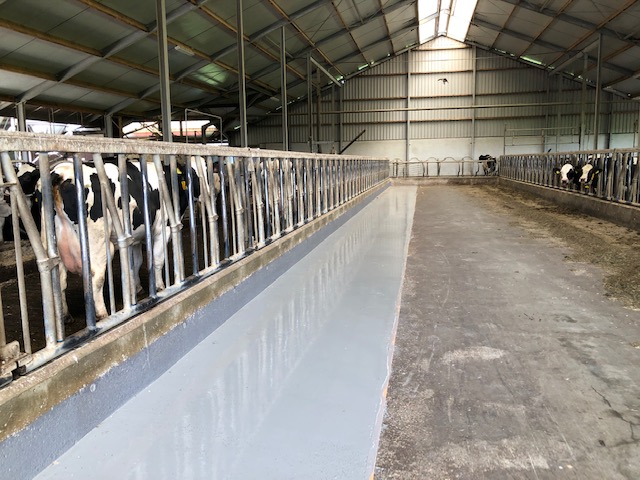 Voergang van de stal gecoat met DHZ Epoflow 